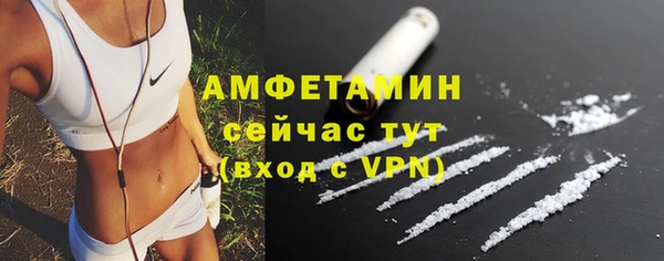 ГАЛЛЮЦИНОГЕННЫЕ ГРИБЫ Балахна