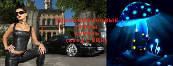 ГАЛЛЮЦИНОГЕННЫЕ ГРИБЫ Балахна