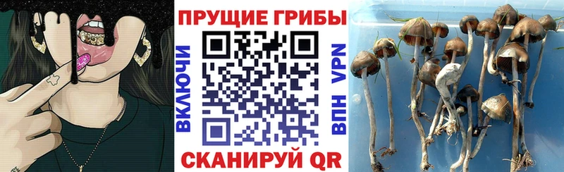 Псилоцибиновые грибы мухоморы  Купить закладки  Нариманов 